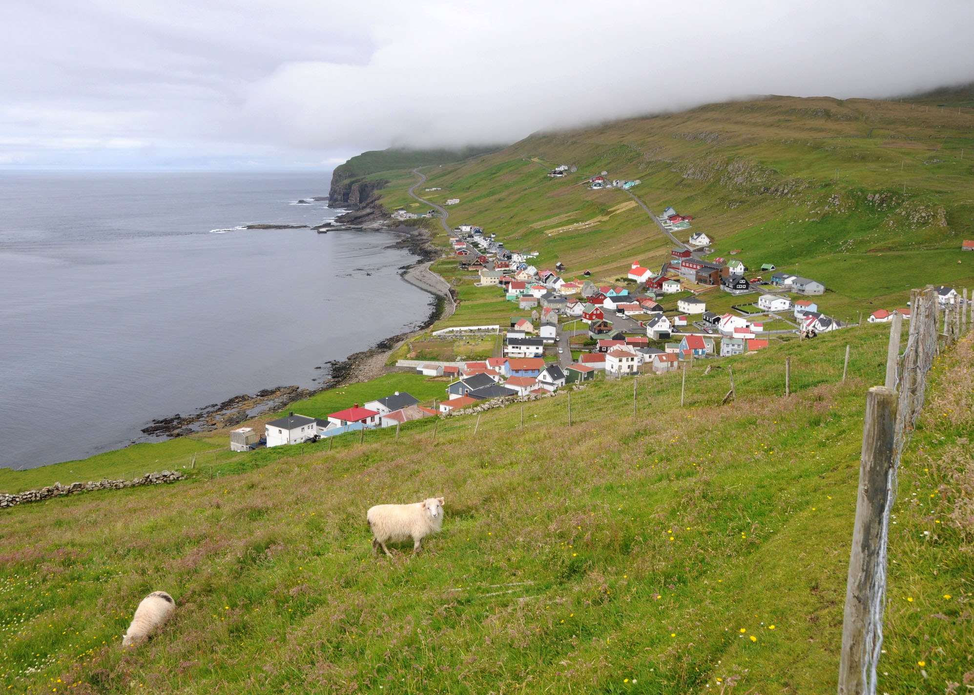 ANJCI ALL OVER | Visiting the Faroe Islands Second time around